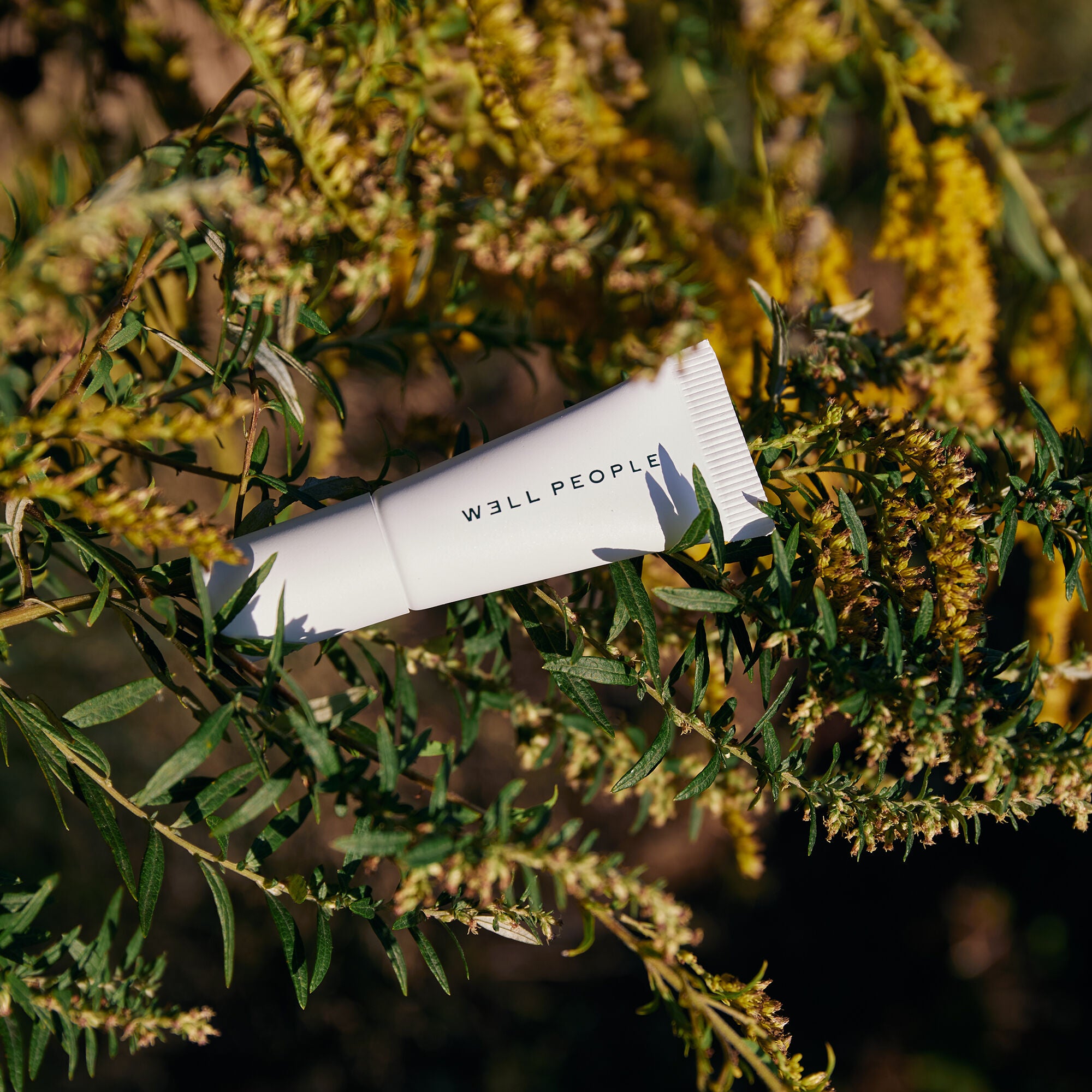 Correct concealer sales